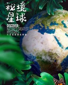 妙鸭相机app下载官网