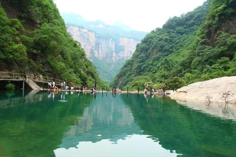 拯救枯树