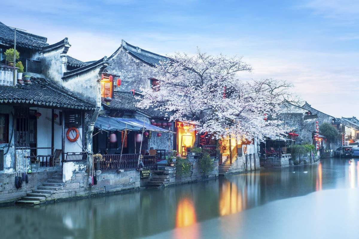 营救森林中的夫妇